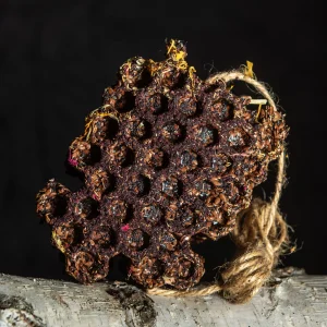 Gryzak miodowy – Aronia