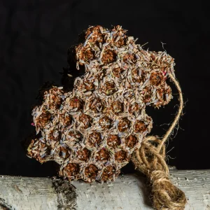 Gryzak miodowy – Lawenda