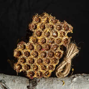 Gryzak miodowy – Nagietek