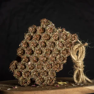 Gryzak miodowy – Tymianek – Mięta