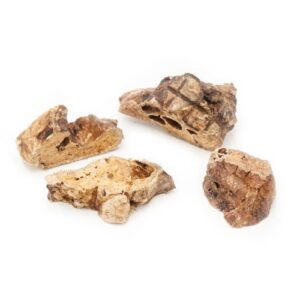 Płuca wołowe 100 g